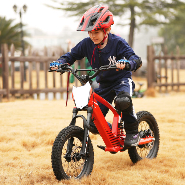 Pro Rider 16 - 500W Kids Electric Motorcycle, 16IN Off-Road Tires Brushless Motor 3 Speed Modes for Ages 5-10 - Red