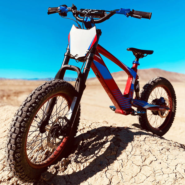 Pro Rider 20 - 750W Kids Electric Motorcycle 20IN Off-Road Tires Brushless Motor 3 Speed Modes for Ages 12-16 - Red