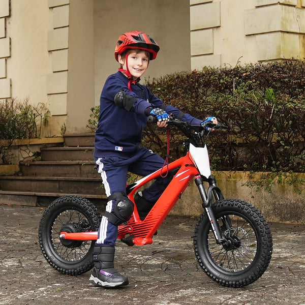 Pro Rider 16 - 500W Kids Electric Motorcycle, 16IN Off-Road Tires Brushless Motor 3 Speed Modes for Ages 5-10 - Red