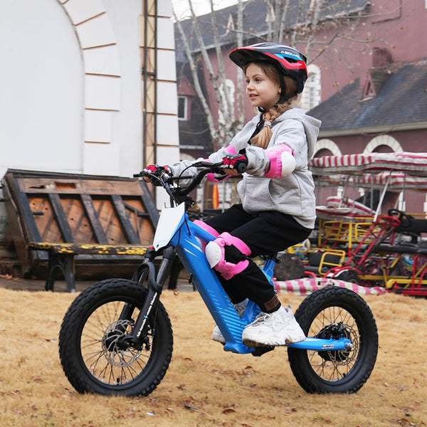 Pro Rider 16 - 500W Kids Electric Motorcycle, 15.5 mph & 150lb Max, Chain-Driven Motor, Twist-Grip Throttle & Hand-Operated Rear Brake, 16" Air-Filled Tires - Sky Blue